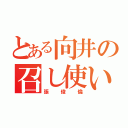 とある向井の召し使い（張俊倫）