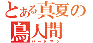 とある真夏の鳥人間（バードマン）