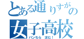 とある通りすがりの女子高校生の！（パンちら 求む！）