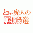 とある廃人の孵化厳選（誰が陰キャや）