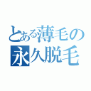 とある薄毛の永久脱毛（）