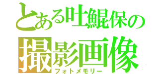 とある吐鯤保の撮影画像（フォトメモリー）