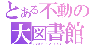 とある不動の大図書館（パチェリー・ノーレッジ）