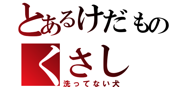 とあるけだものくさし（洗ってない犬）