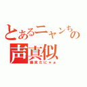 とあるニャンちゅうの声真似（爆笑だにゃぁ）