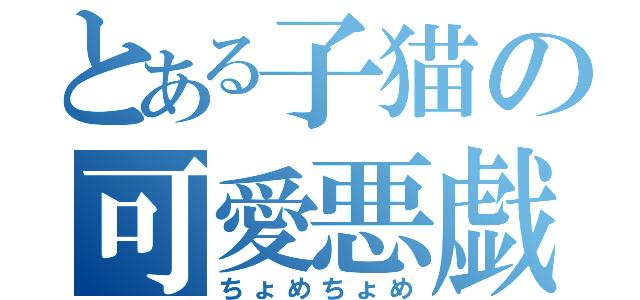 とある子猫の可愛悪戯（ちょめちょめ）