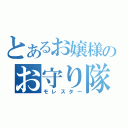 とあるお嬢様のお守り隊（モレスター）