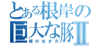 とある根岸の巨大な豚Ⅱ（豚の生き方）