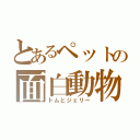 とあるペットの面白動物（トムとジェリー）