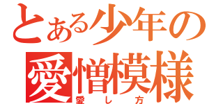 とある少年の愛憎模様（愛し方）