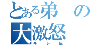 とある弟の大激怒（キレ症）