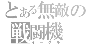 とある無敵の戦闘機（イーグル）