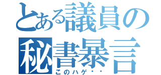 とある議員の秘書暴言（このハゲ〜〜）