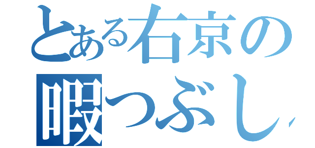 とある右京の暇つぶし（）