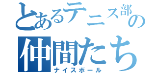 とあるテニス部の仲間たち（ナイスボール）