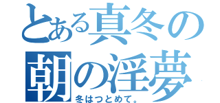 とある真冬の朝の淫夢（冬はつとめて。）