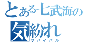 とある七武海の気紛れ（サバイバル）