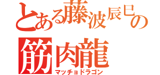 とある藤波辰巳のの筋肉龍（マッチョドラゴン）