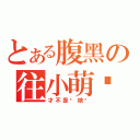 とある腹黑の往小萌酱（才不是伪娘呢）