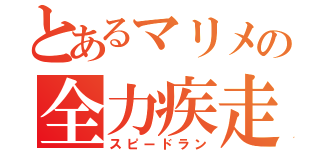 とあるマリメの全力疾走（スピードラン）