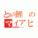 とある鯉のマイアヒ（野間野間イェイ！）