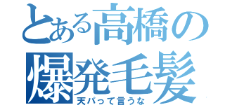 とある高橋の爆発毛髪（天パって言うな）