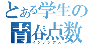 とある学生の青春点数（インデックス）