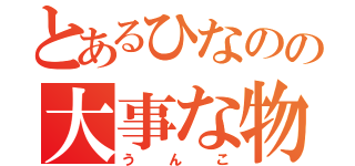 とあるひなのの大事な物（うんこ）