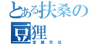 とある扶桑の豆狸（宮藤芳佳）