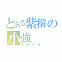 とある紫稱の小強（超級小強）