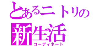 とあるニトリの新生活（コーディネート）