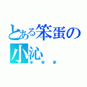 とある笨蛋の小沁（笨笨笨）