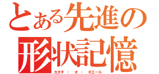 とある先進の形状記憶（カタチ ・ オ ・ ボエール）