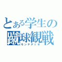 とある学生の蹴球観戦（モンテディオ）