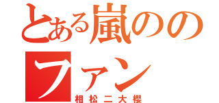 とある嵐ののファン（相松二大櫻）