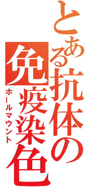 とある抗体の免疫染色（ホールマウント）