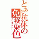 とある抗体の免疫染色（ホールマウント）