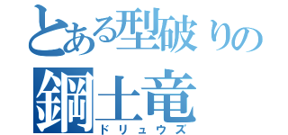 とある型破りの鋼土竜（ドリュウズ）