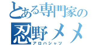 とある専門家の忍野メメ（アロハシャツ）