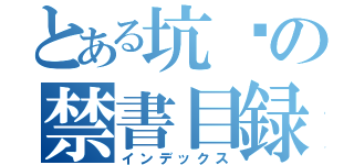 とある坑爹の禁書目録（インデックス）