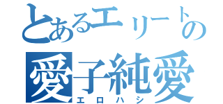 とあるエリートの愛子純愛（エロハシ）