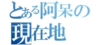 とある阿呆の現在地（）