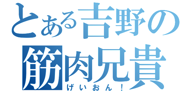 とある吉野の筋肉兄貴（げいおん！）