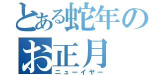 とある蛇年のお正月（ニューイヤー）