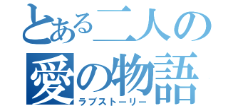 とある二人の愛の物語（ラブストーリー）