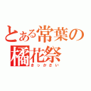 とある常葉の橘花祭（きっかさい）