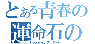 とある青春の運命石の扉（シュタインズ・ゲート）