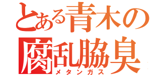 とある青木の腐乱脇臭（メタンガス）