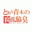 とある青木の腐乱脇臭（メタンガス）