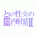 とある性交の膣内射精Ⅱ（なかだし）